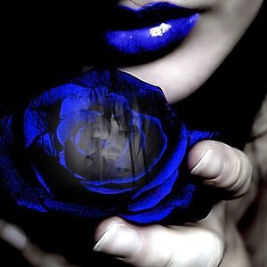 Meet your Posher, Deisy